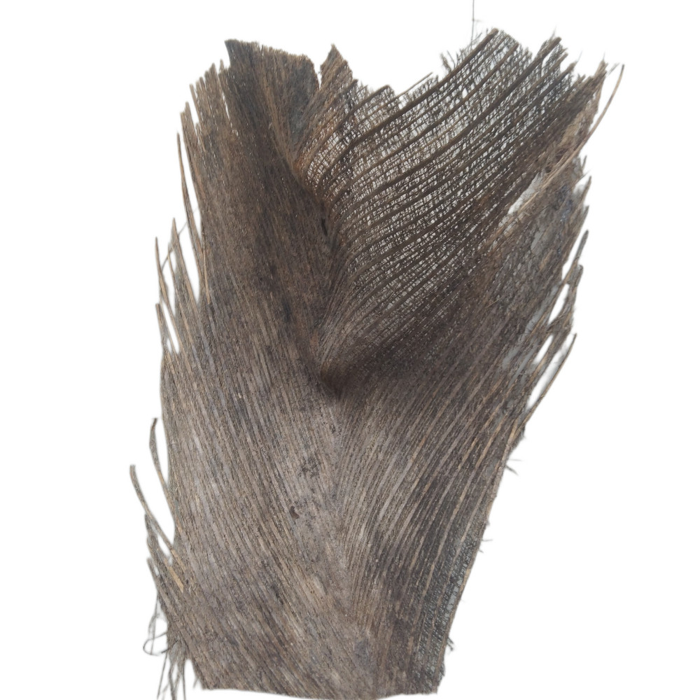 Coconut Tree Spathe for DIY Home Decorations 100% natural organic Free Shipping
