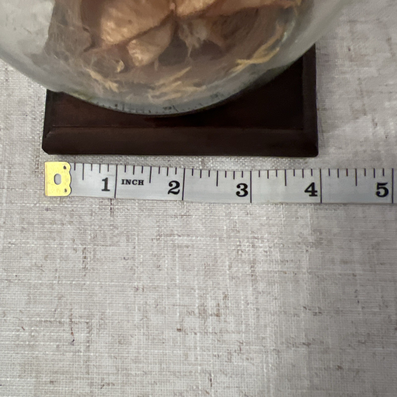 Vintage MCM Glass Terrarium With A Wood Base Dried Flowers Inside