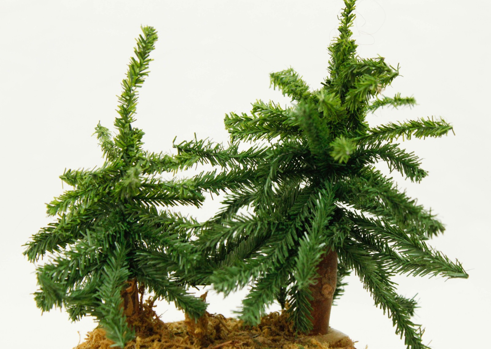 Two Small Pine Trees Tabletop Shelf Nature Decoration Moss Base