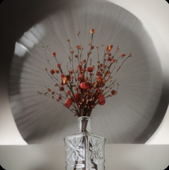 6 PCS Artificial Berry PumpkinStem Orange RedBerry Pick Autumn Vase Not Included