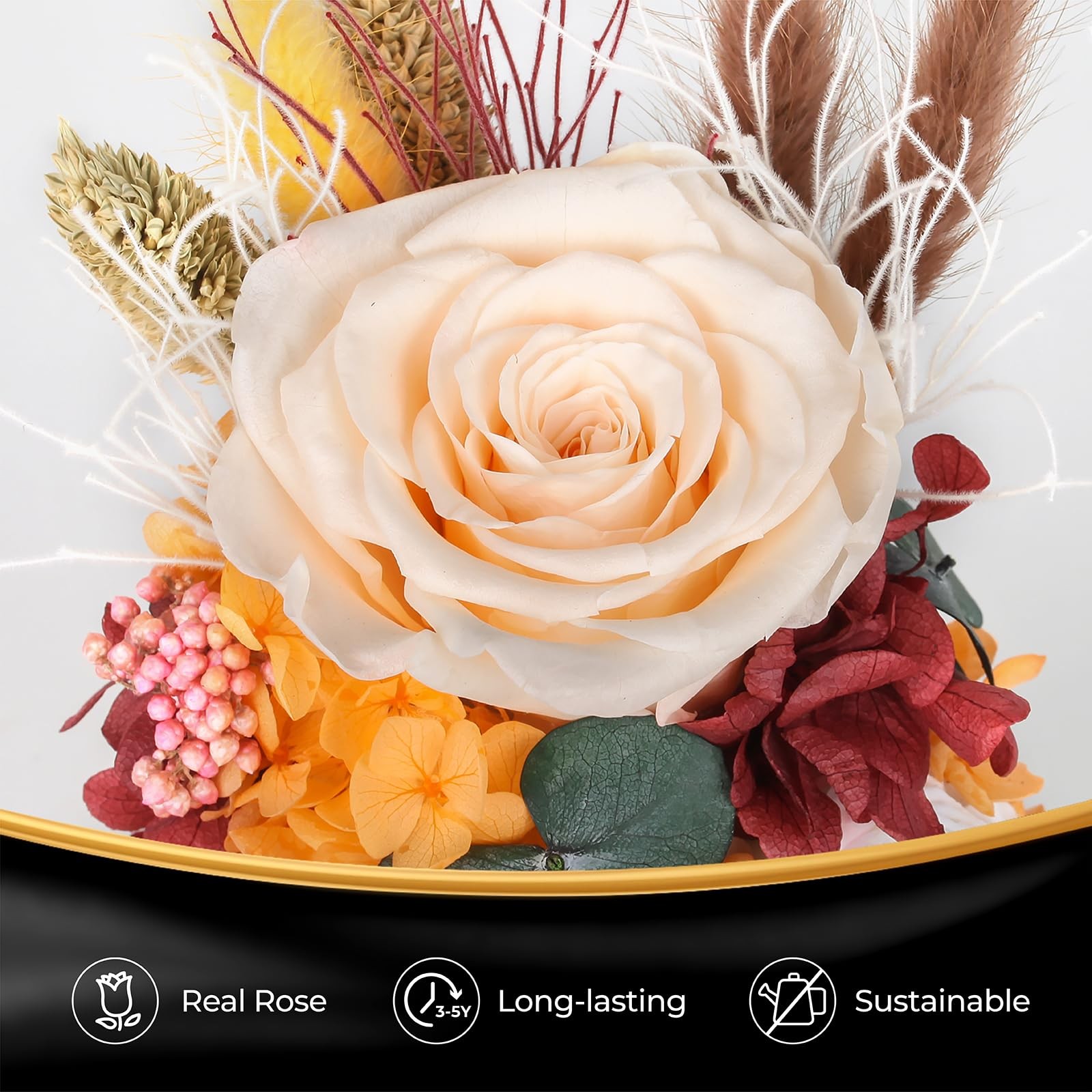 Preserved Flowers for Delivery, Champagne Forever Rose as Gifts for Women