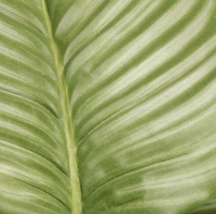 National Tree Company 30 in. Garden Accents Artificial Calathea Potted Plant