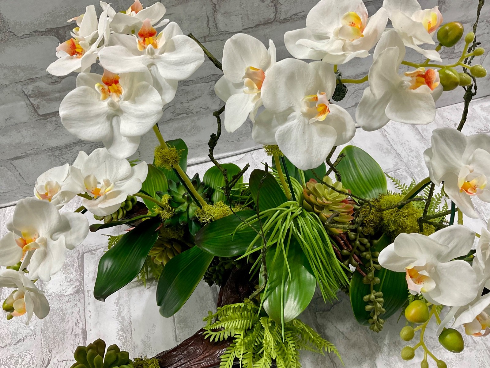 Large Driftwood Orchid Arrangement, White Real Touch Orchids Succulents 28’x17′