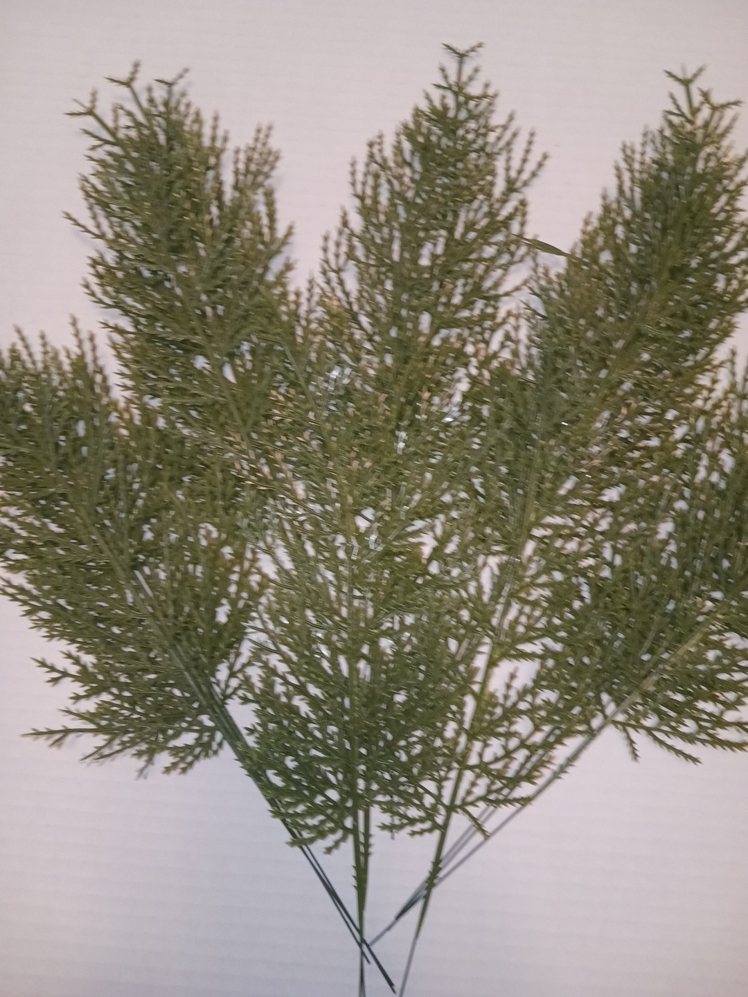 Artificial Cedar Faux Spray Branches Twig Picks Plastic Greenery x 20 Stems