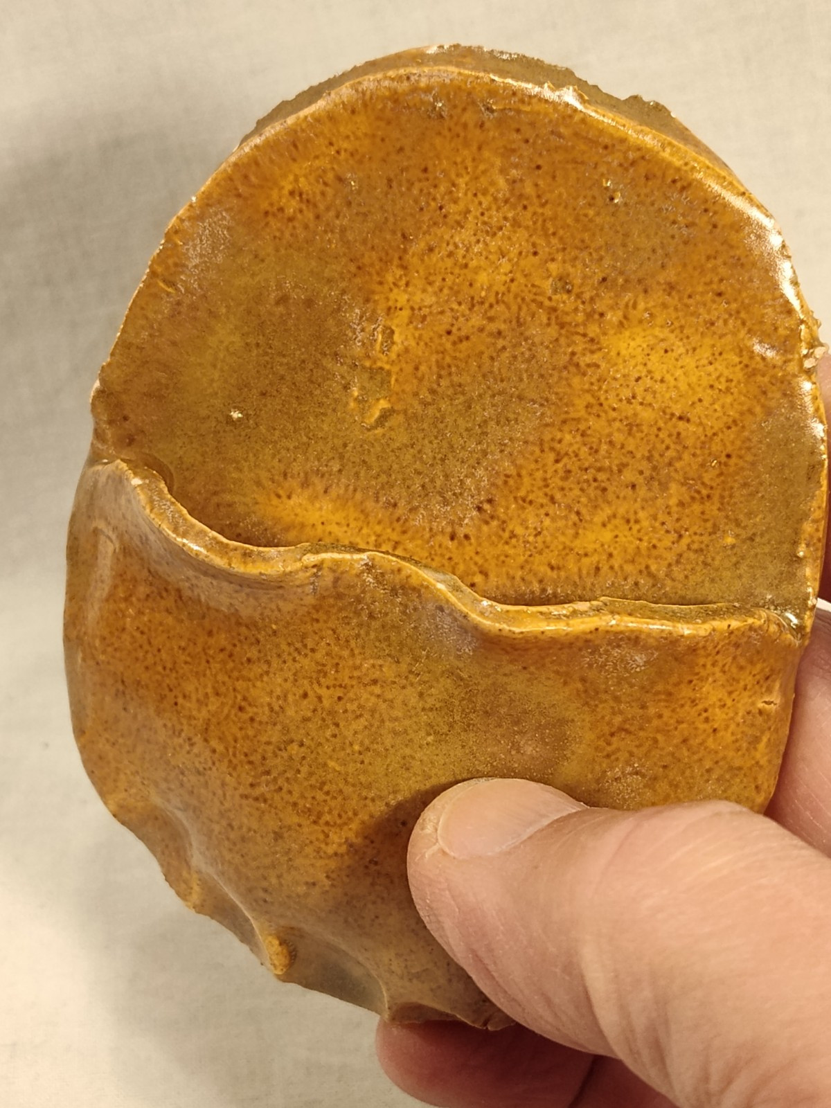 Hand Made Pottery Wall Pocket Brown Glaze For Dried Flowers