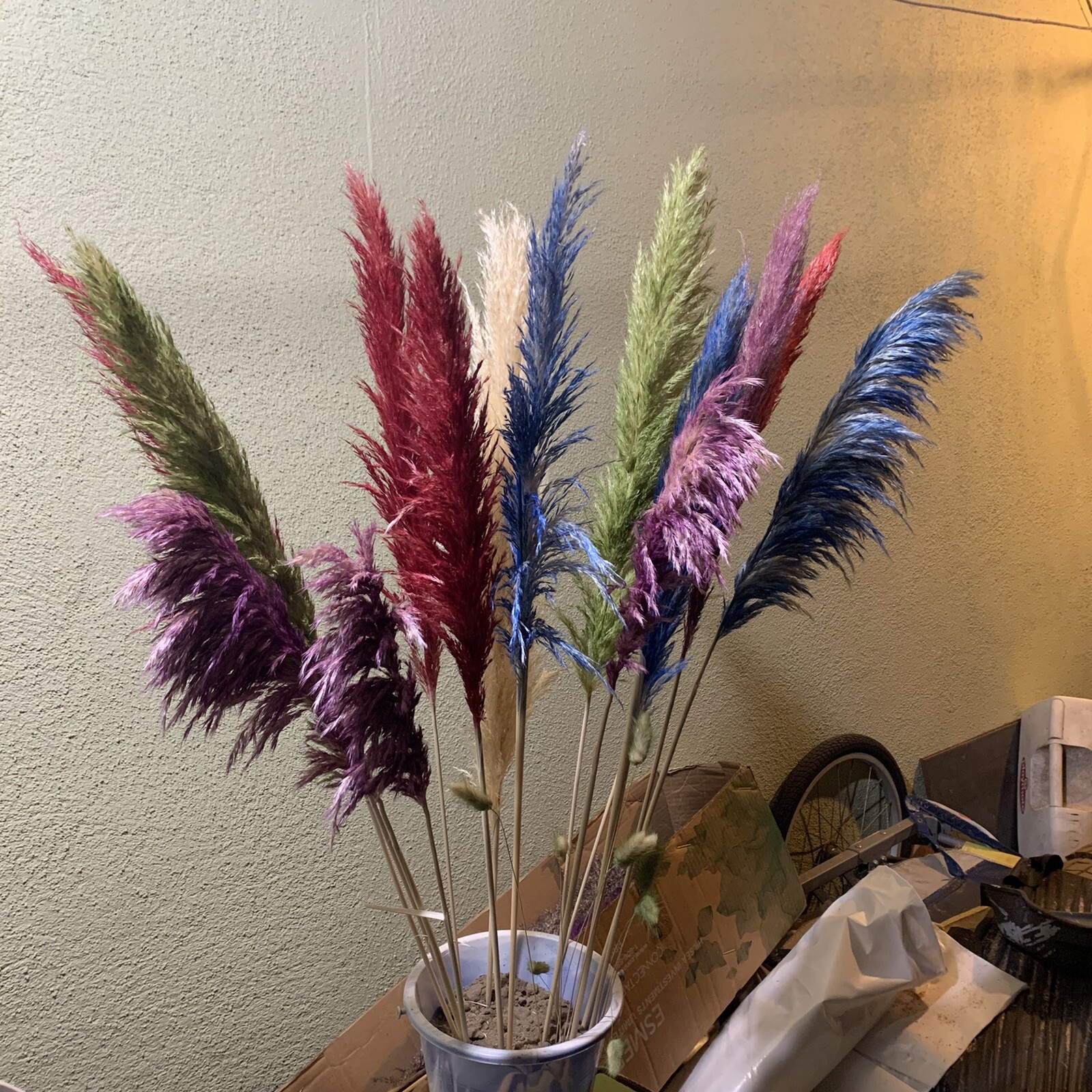 PAMPAS- Box of 10 X (36”) pampas grass stems Red/Blue/Green/Gold/Purple/Yellow