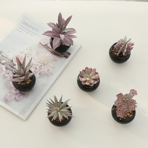 Set of 6 Fake Succulent Plants in Black Pot Artificial Pink Purple-black Pot
