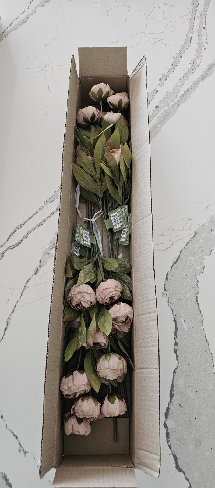 🔥 New in Box 8 Ashland Tan Peony 28″ Stems Michael’s Store VIRAL RARE!