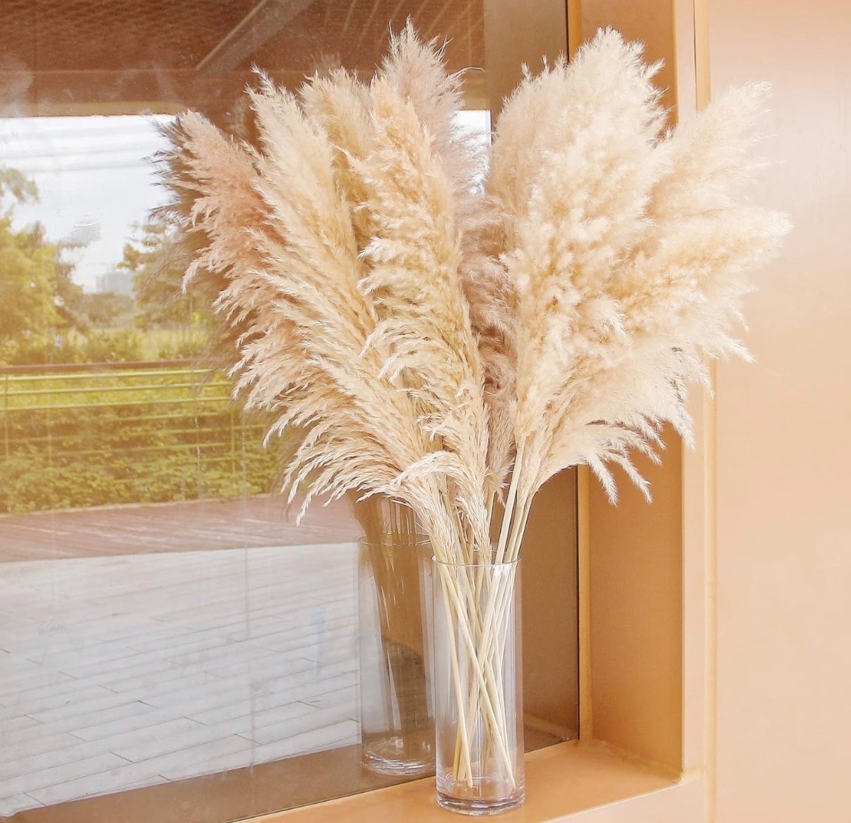 PAMPAS GRASS BEAUTIFUL BEIGE VERY FLUFFY 40 INCHES TALL 10 STEMS HOME DECOR