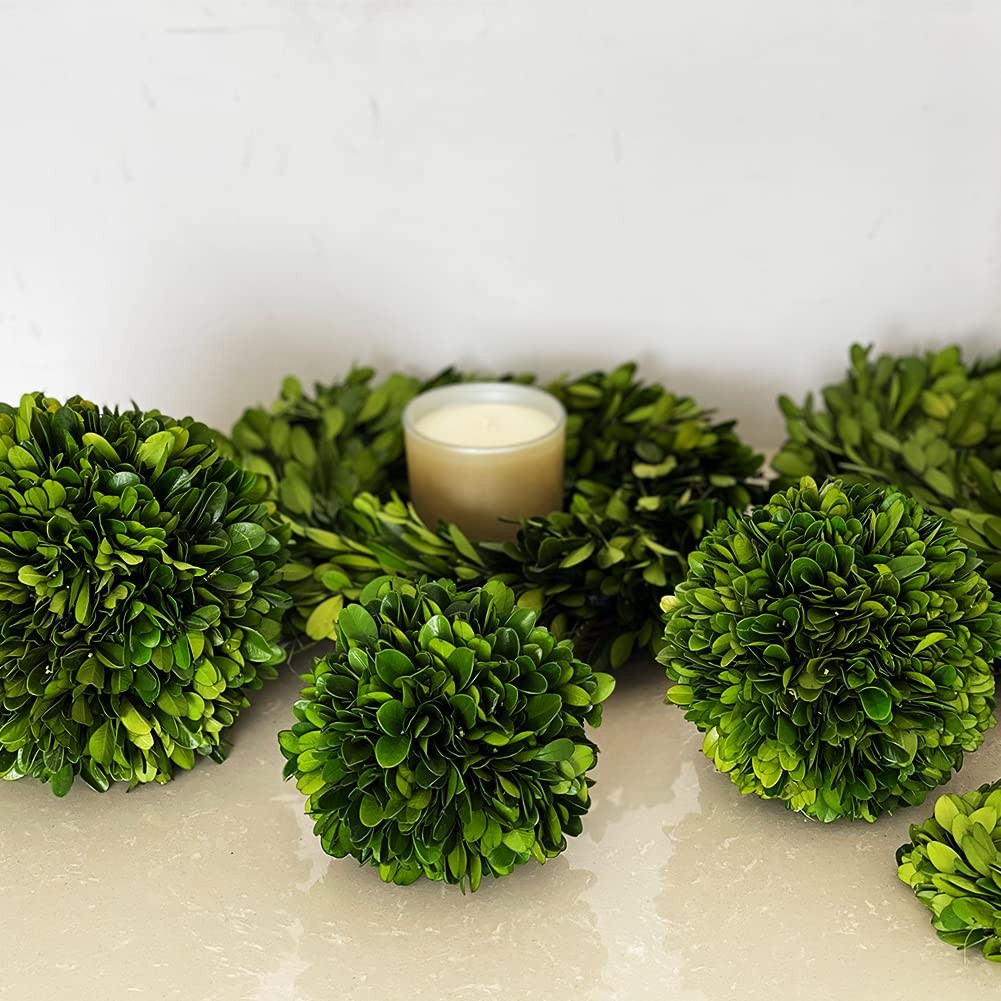 Boxwood Topiary Ball 5 inches Preserved Boxwood Decorative Balls for Wedding,…