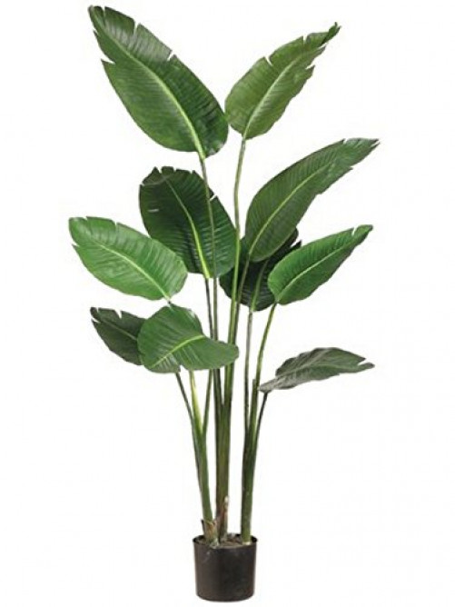 One 5 Foot Artificial Silk Bird of Paradise Palm Tree 5 feet tall, Green