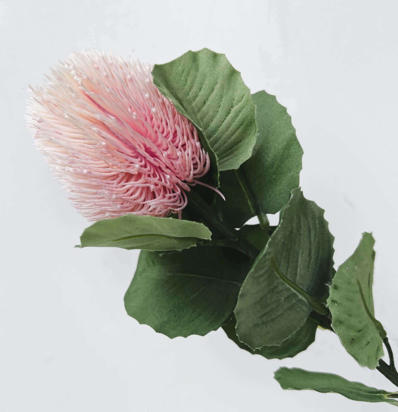 Australian Native Flower Stem Pink Banksia Bottle Brush Flowers Faux Silk x 1
