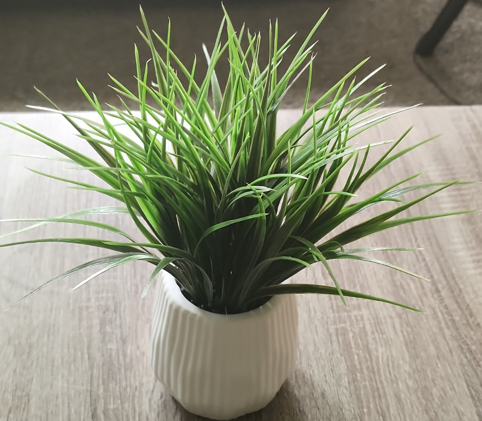 Artificial Grass Houseplant in White Ceramic Pot Modern Decor Arrangement