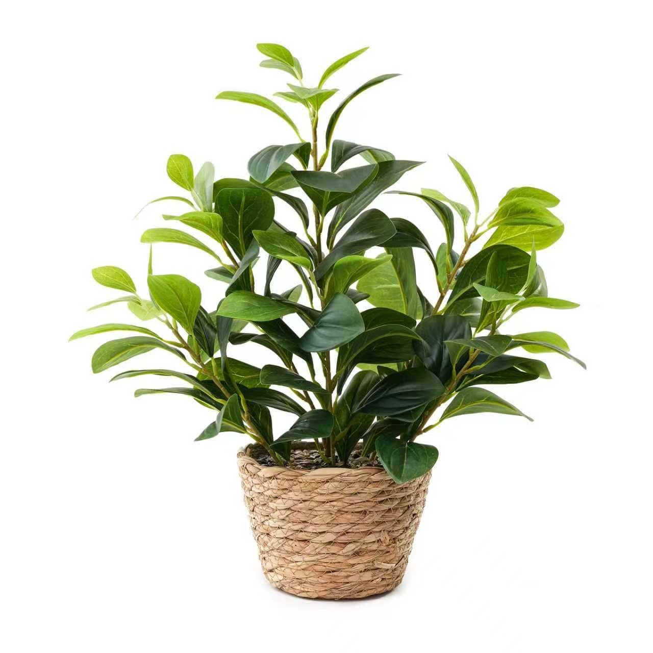 16 inch Artificial Peperomia Potted Plant in Woven Basket Planter Lifelike Tw…