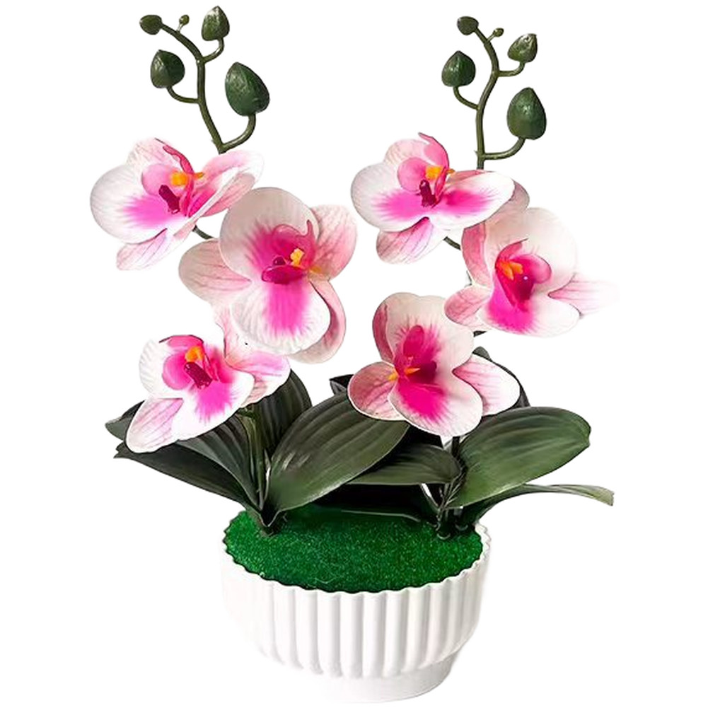 Phalaenopsis Orchid Simulation with Shell Shaped Pot for Home Office Use