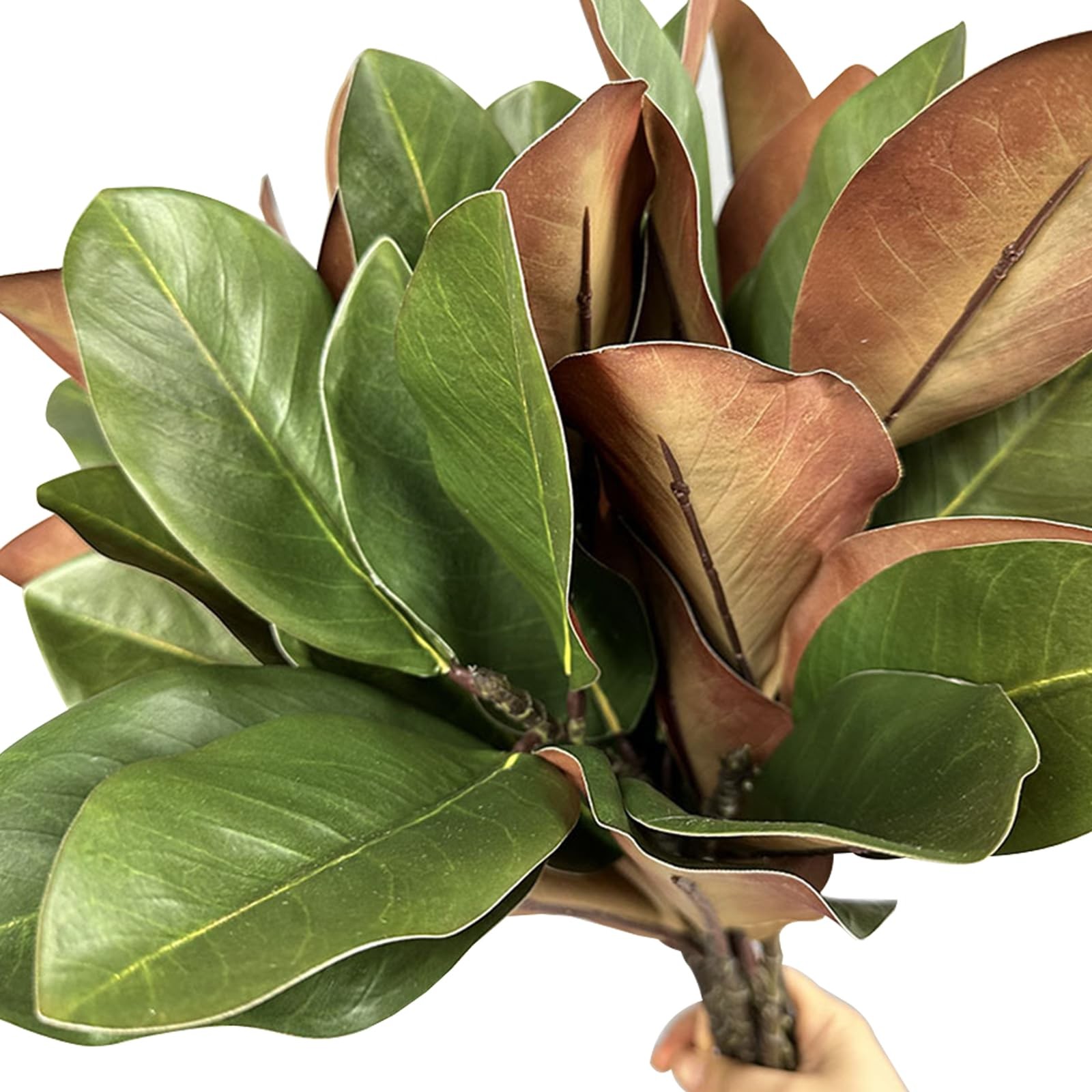 Lovmeety 4Pcs Artificial Magnolia Leaves with Stems Fake Magnolia Leaf Branch…