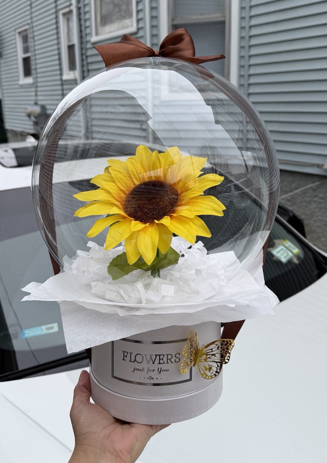 Sunflower in bubble balloon
