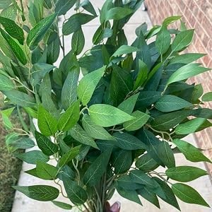 48Pcs Italian Ruscus Greenery Stems Artificial Silk Greenery Leaves for DIY