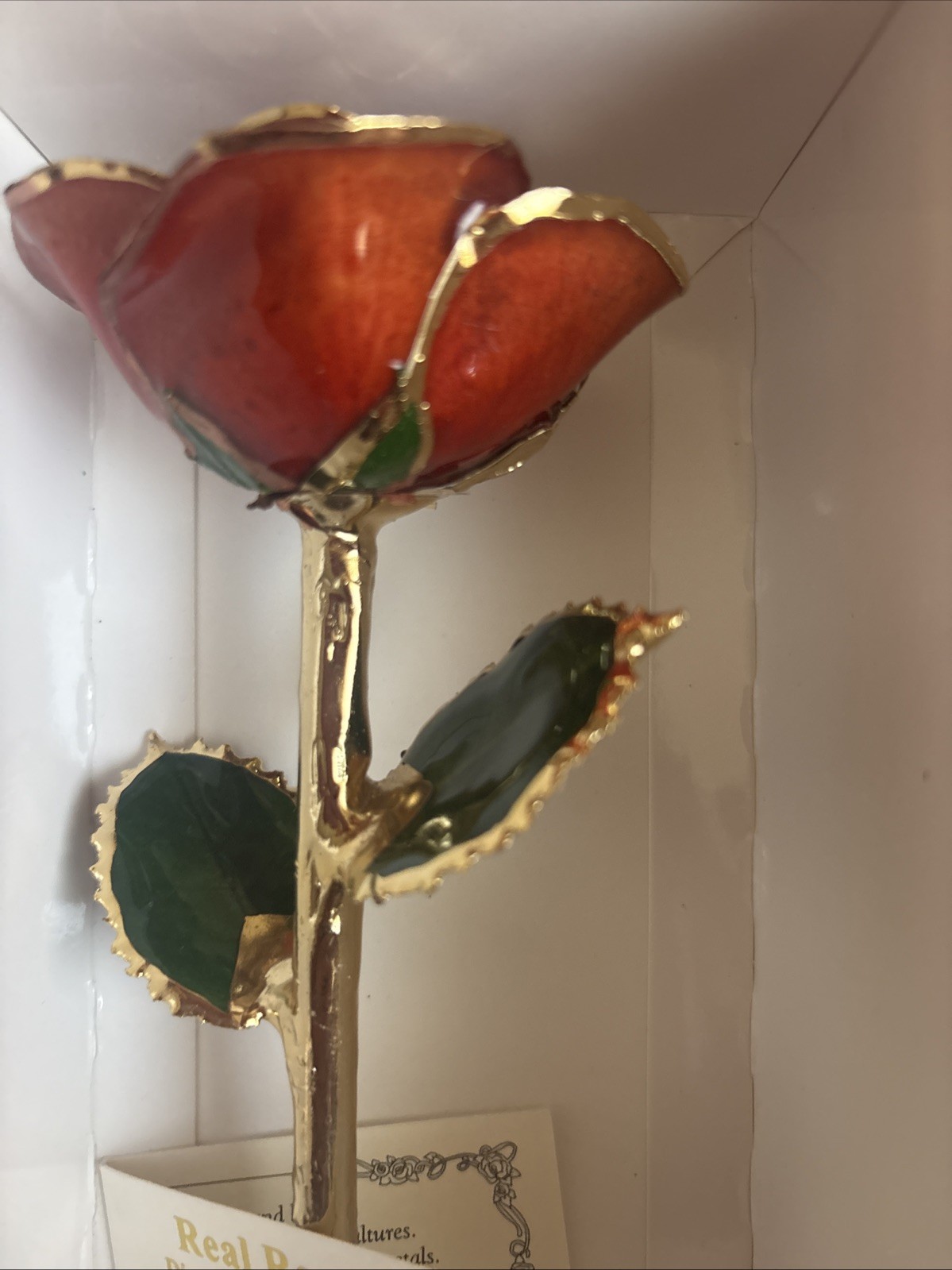LIVING GOLD REAL ROSE DIPPED IN 24K GOLD RED BOXED Vintage With Certificate