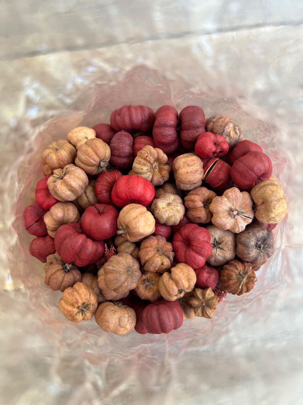 Mini Pumpkins Putka Pods Fall Holiday Decor Unscented Potpourri Bowl Vase Filler