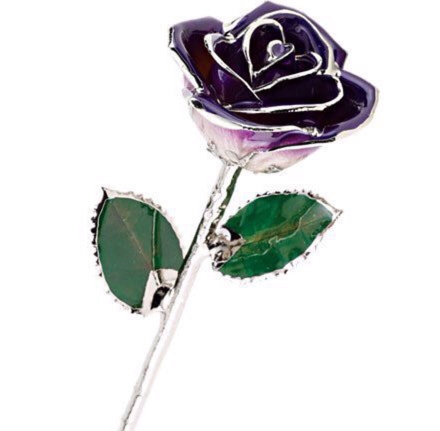 24K Yellow Gold Trimmed White Rose April Diamond White Real Long Stem Rose