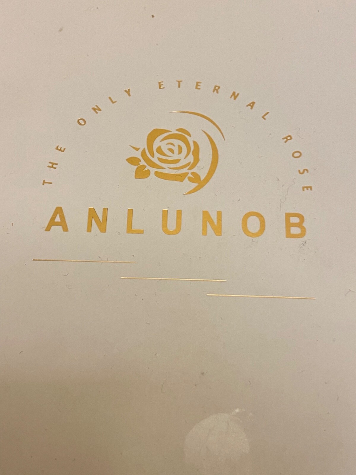 ANLUNOB The Only ETERNAL ROSE beautiful Rose Flower in glass angel