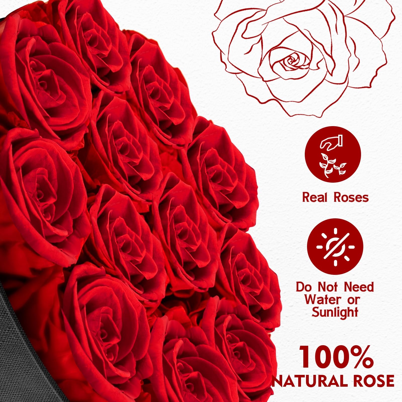 Forever Flowers, 12 Roses in A , Real Preserved Roses, Gift for , Mother’s Da…