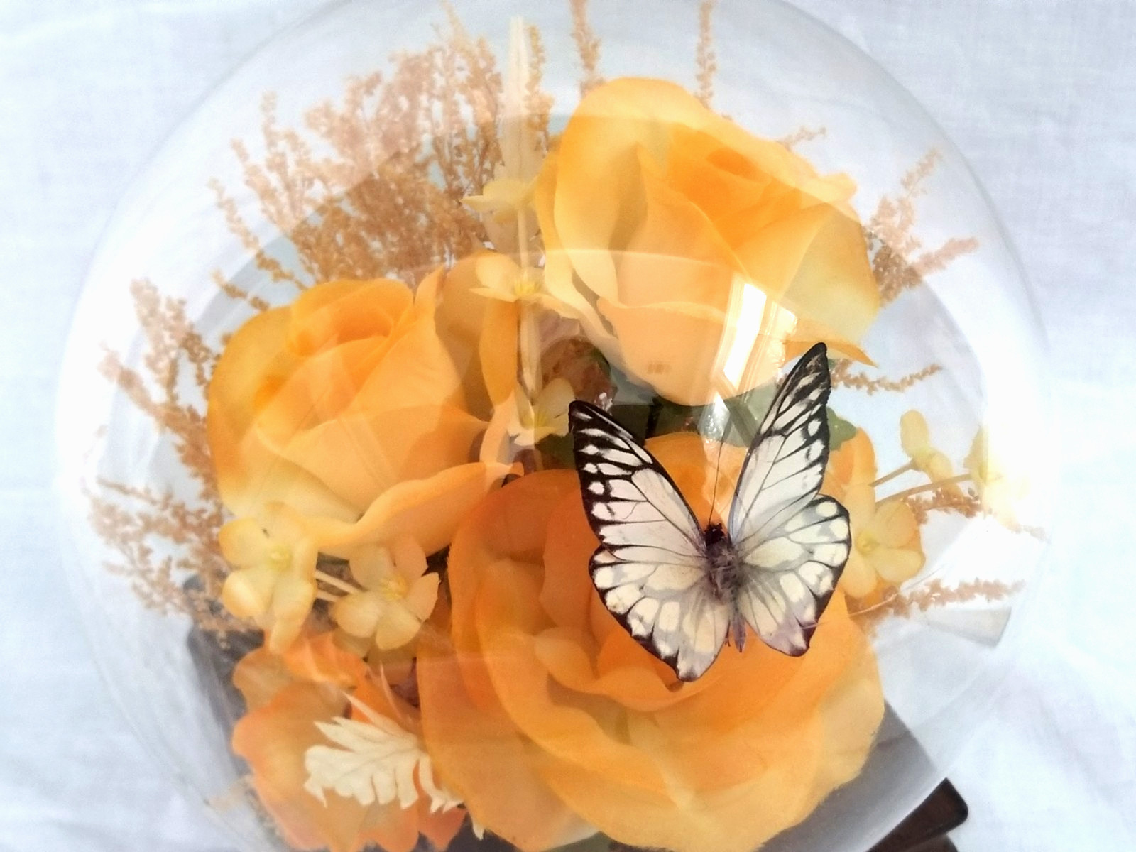 Butterfly & Yellow Rose Faux Flowers In Glass Dome Curio Display Globe 9″