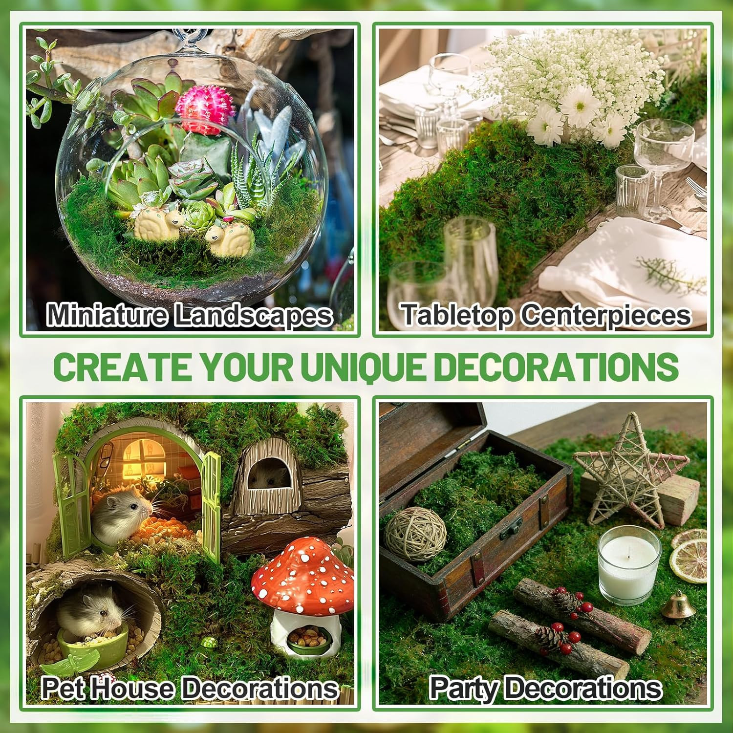 10Oz Natural Green Moss for Plants Indoor – Dried Forest Real Moss for Crafts, A
