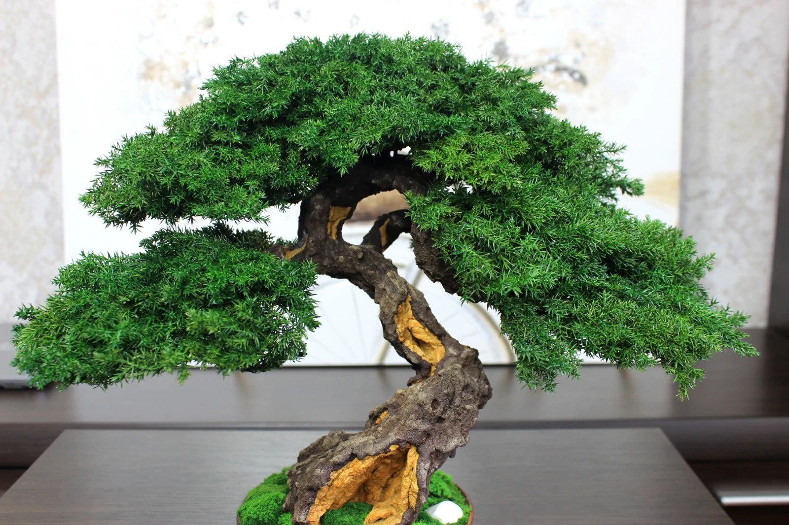 Exclusive Preserved Juniper Bonsai – Interior Art Sculpture. 37 cm / 14,6″