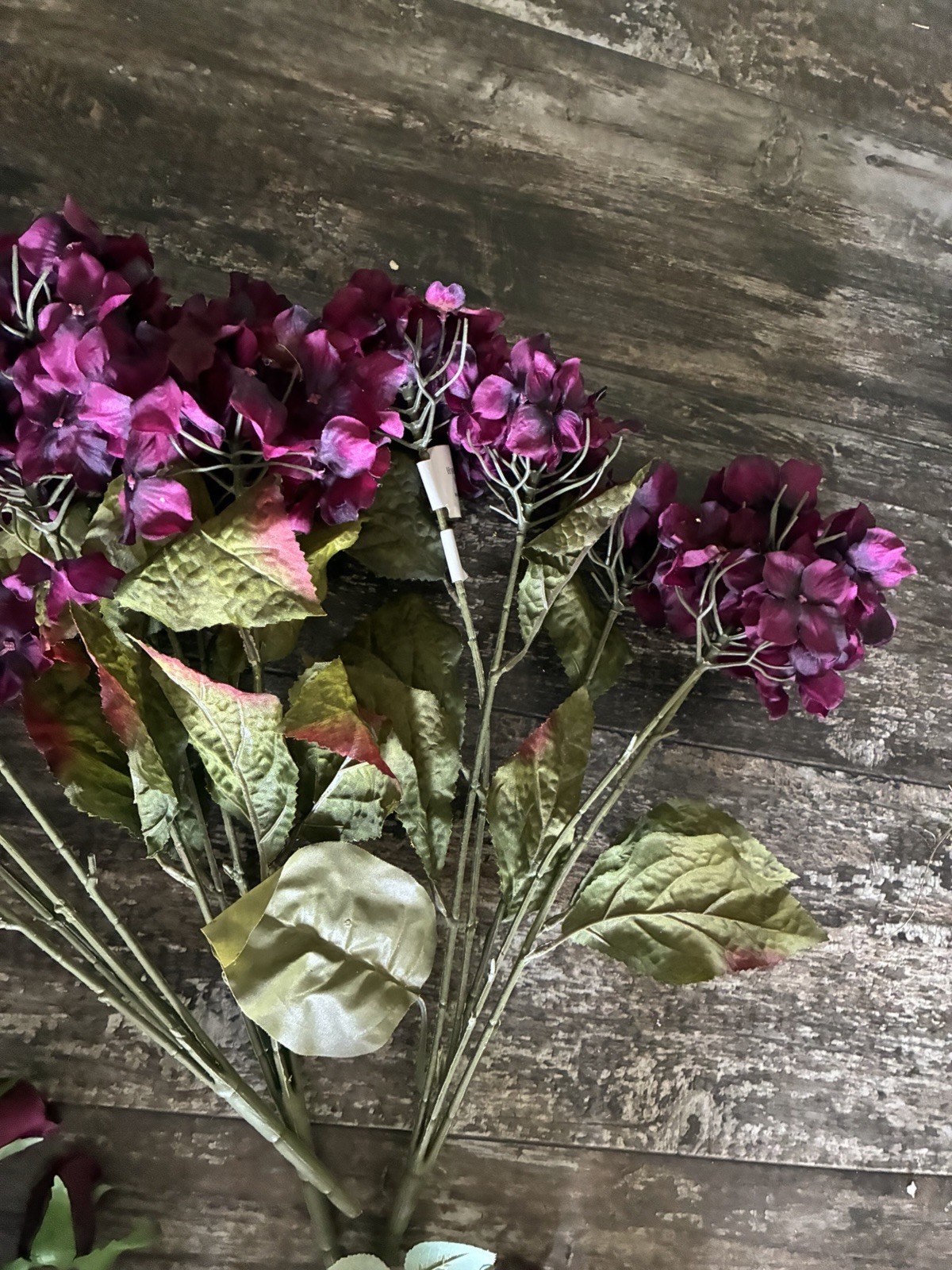 LOT OF DARK PURPLE HYDRANGEA ROSES