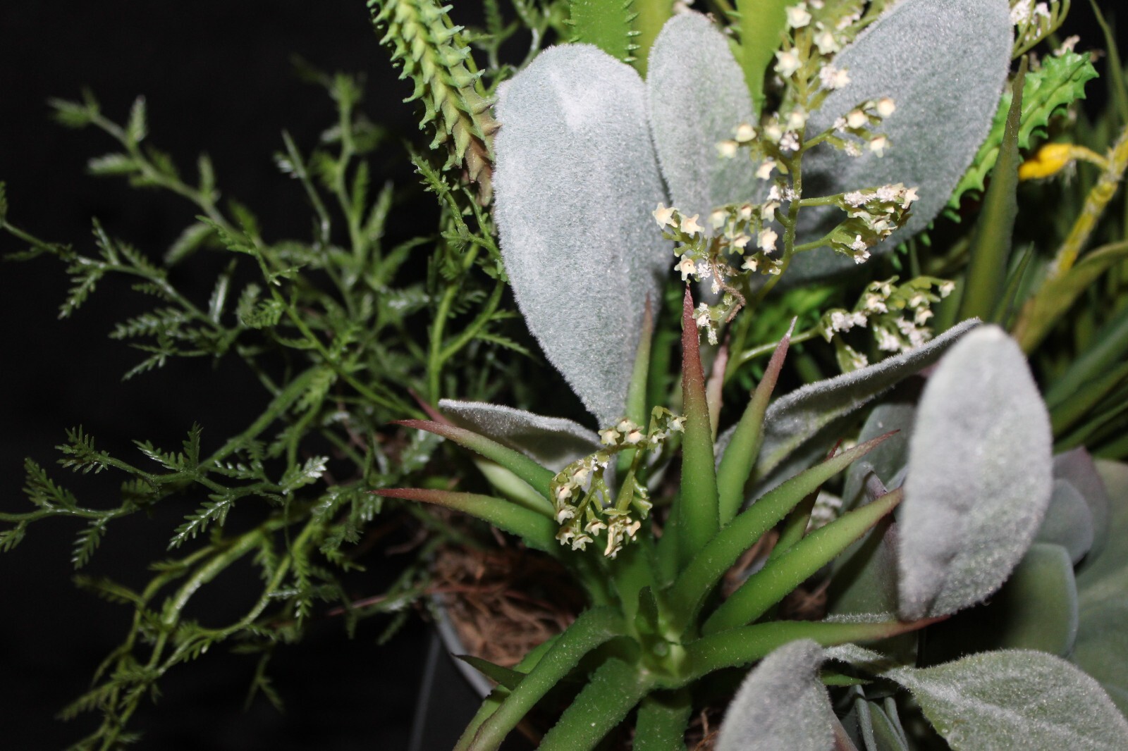 Mixed Artificial Succulent Arrangement in Garden Metal Planter