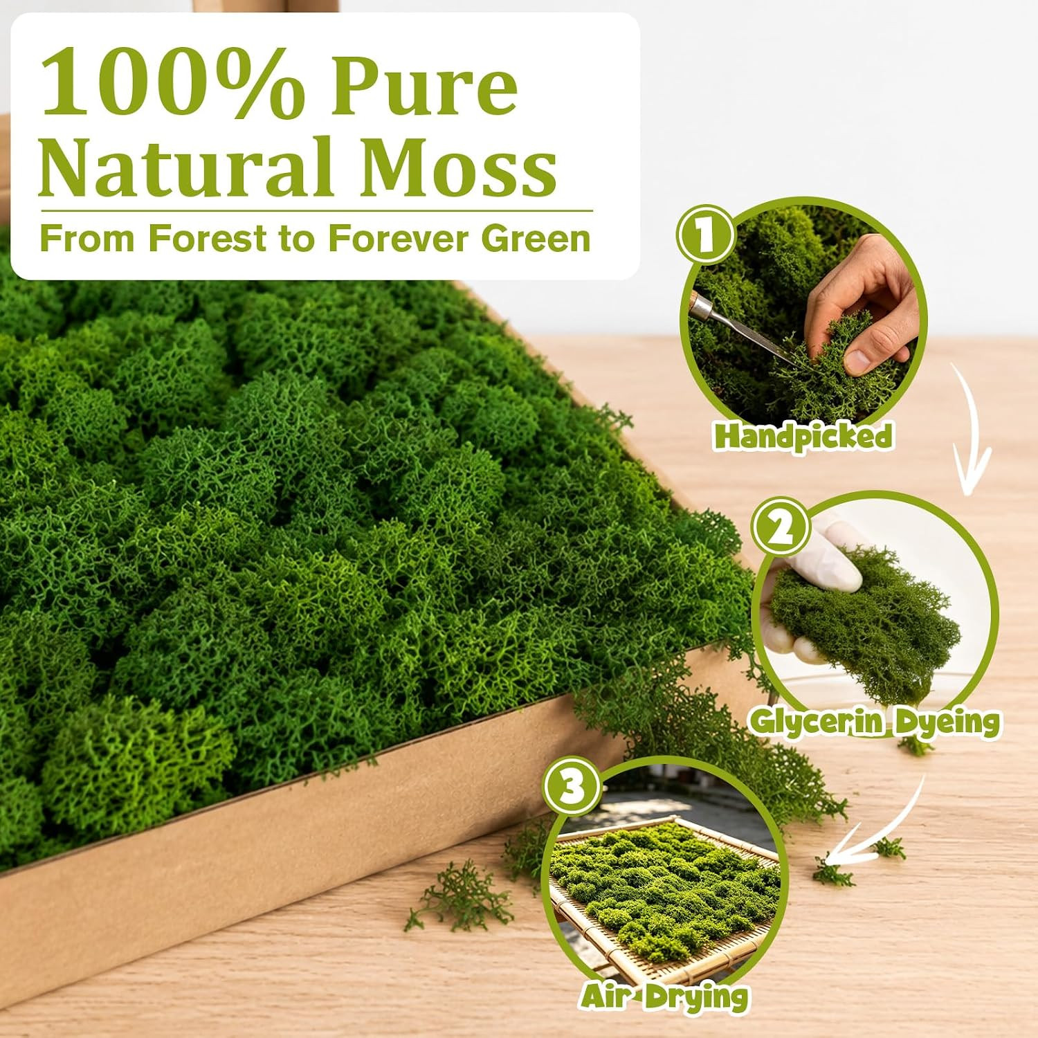 Preserved Reindeer Moss Natural Dark Green, 1.1 LB Real Moss for DIY Crafts, Mos