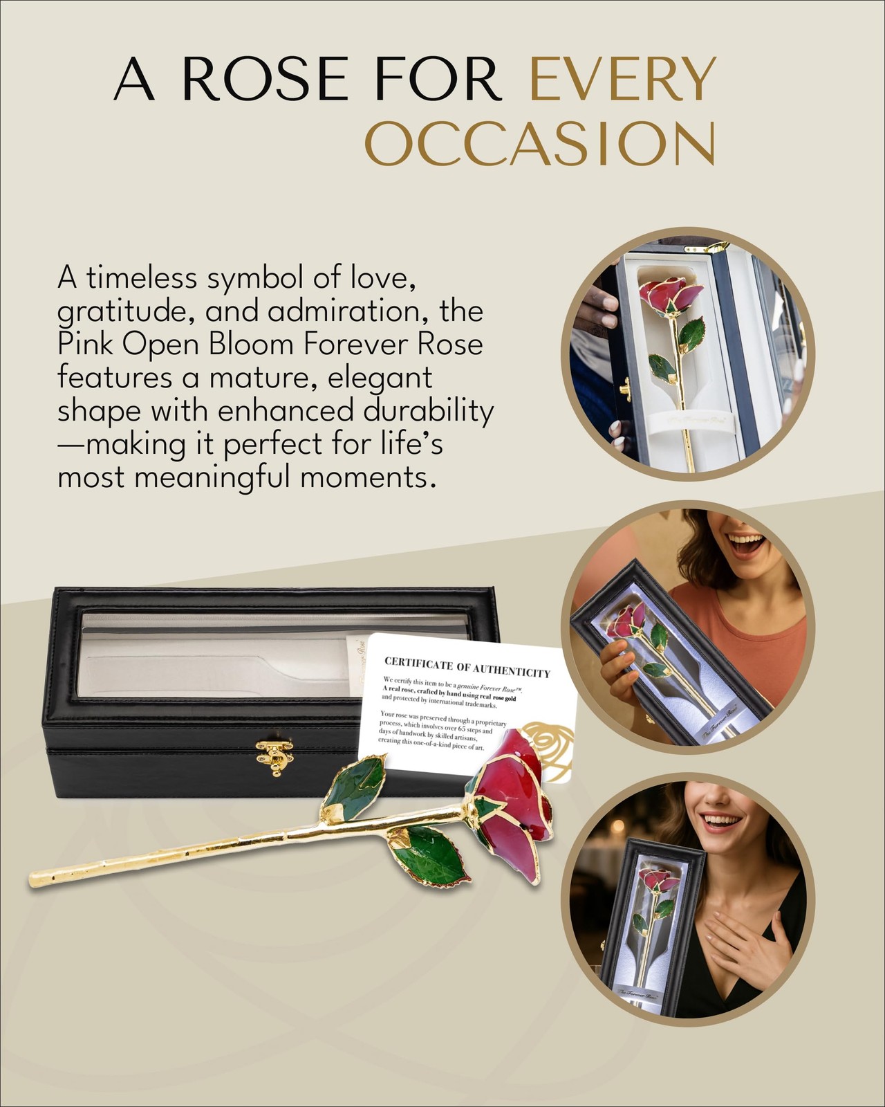 Forever Rose Gold Trimmed Red Open Bloom Real Rose Dipped in 24K