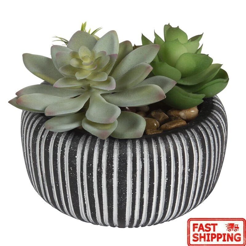 4.72″ H Artificial Succulent Plant in Stone Pot Multi-Color Birthdays Gift New