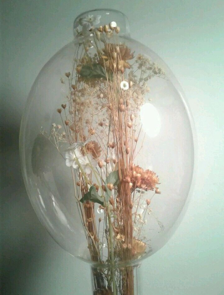 Vintage 1970s Dried Floral Home Decor Glass Display w/Wood Base