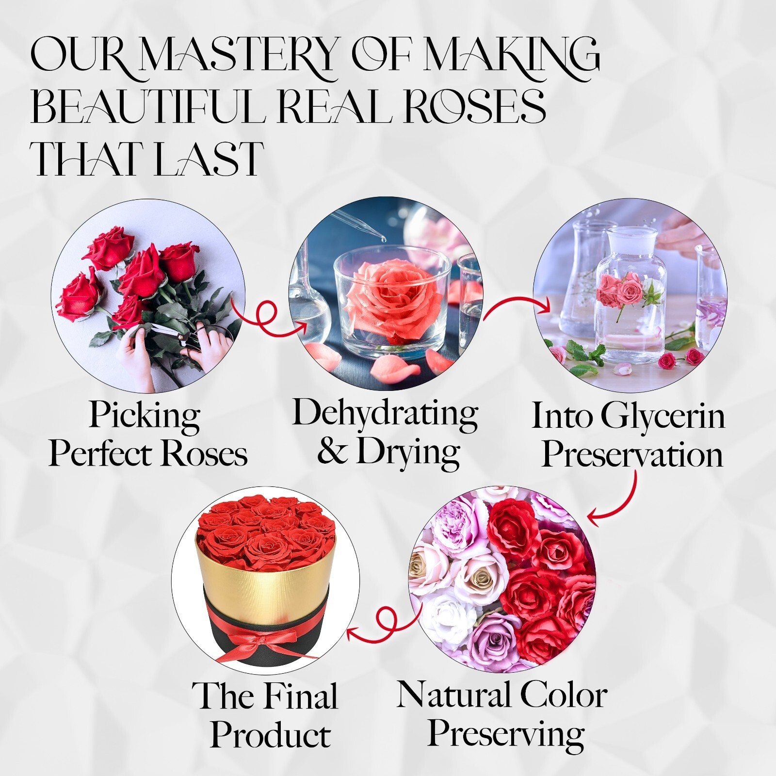 Glamour Boutique Forever Flower Gift Box: 7 Real Preserved Roses in A Box