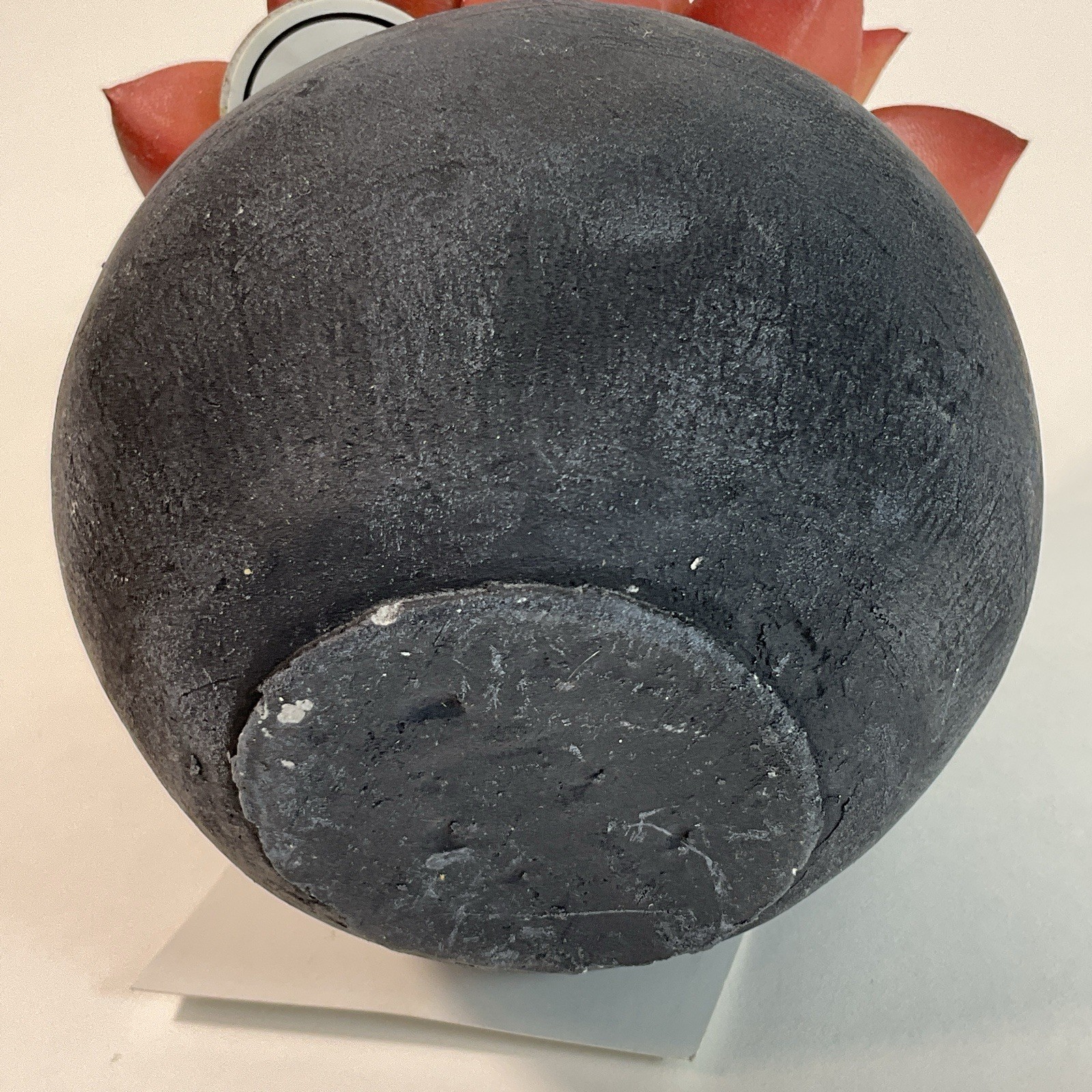Artificial Succulent Plant in a Black Pot 4” Table Decoration