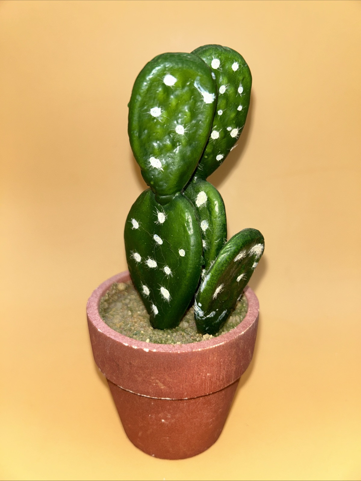 5- Artificial Cactus/ Succulent Plants 5”Tall, Terra Cotta Pots. Realistic