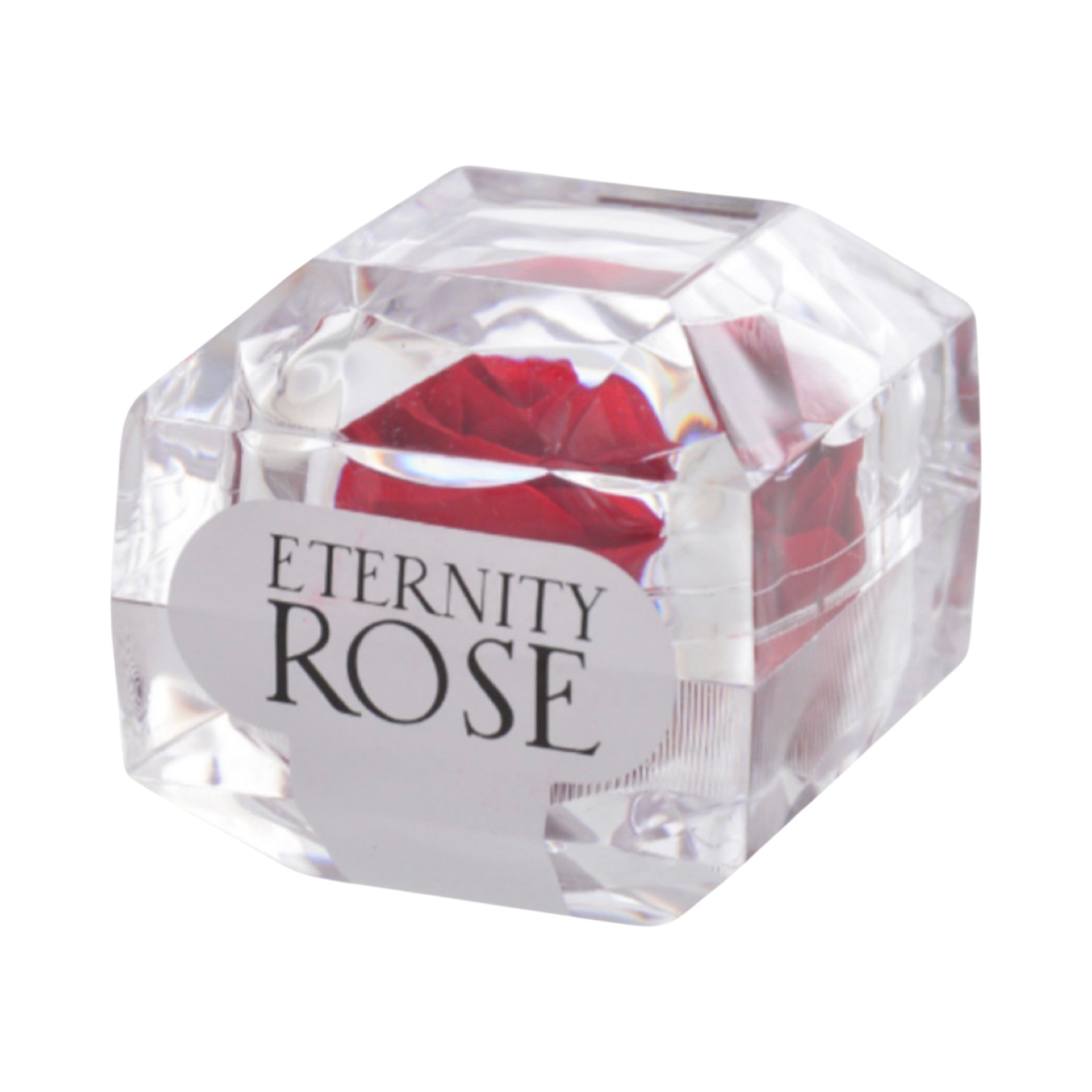 Eternity Rose in Acrylic Clear Capsule – 100% Real Rose/Preserved Rose