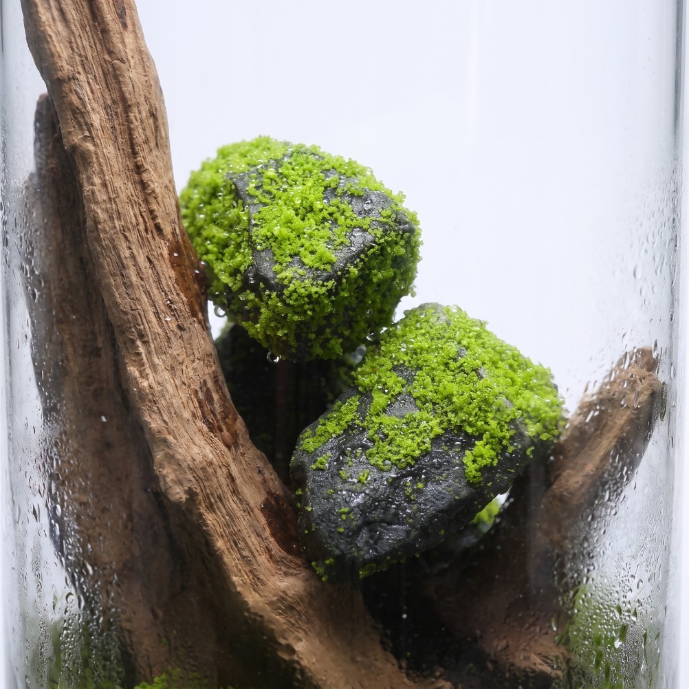 10pcs Artificial Moss Covered Rocks, Realistic Green Moss Stones for