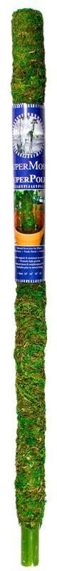 SuperMoss 24″ Moss Pole Forest Green Plant Support Monstera Philodendron