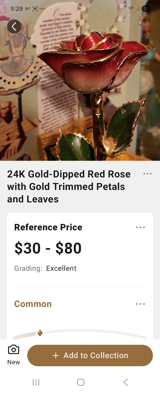 24k Gold Dipped Gold Red Opened Long Stem Rose