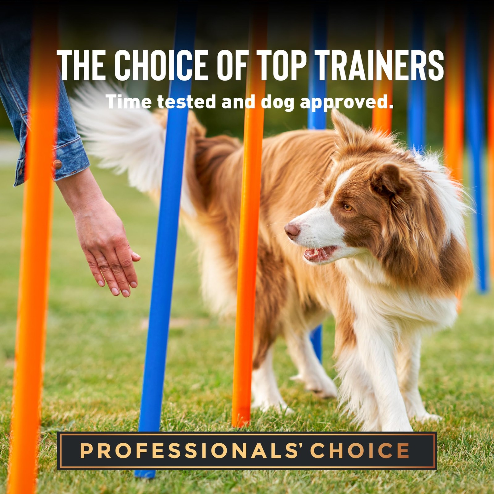 Tricky Trainers Crunchy Dog Training Treats 8 8 Ounce (Pack of 1)