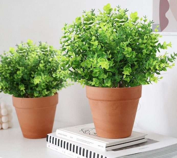 Whonline 10 Pack Boxwood Stems Artificial Flowers for Outdoors Bright Green P…