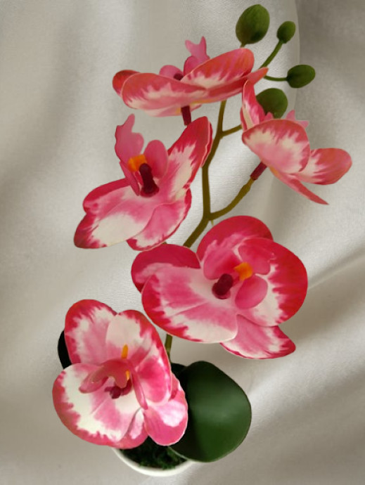 Artificial mini Phalaenopsis orchid