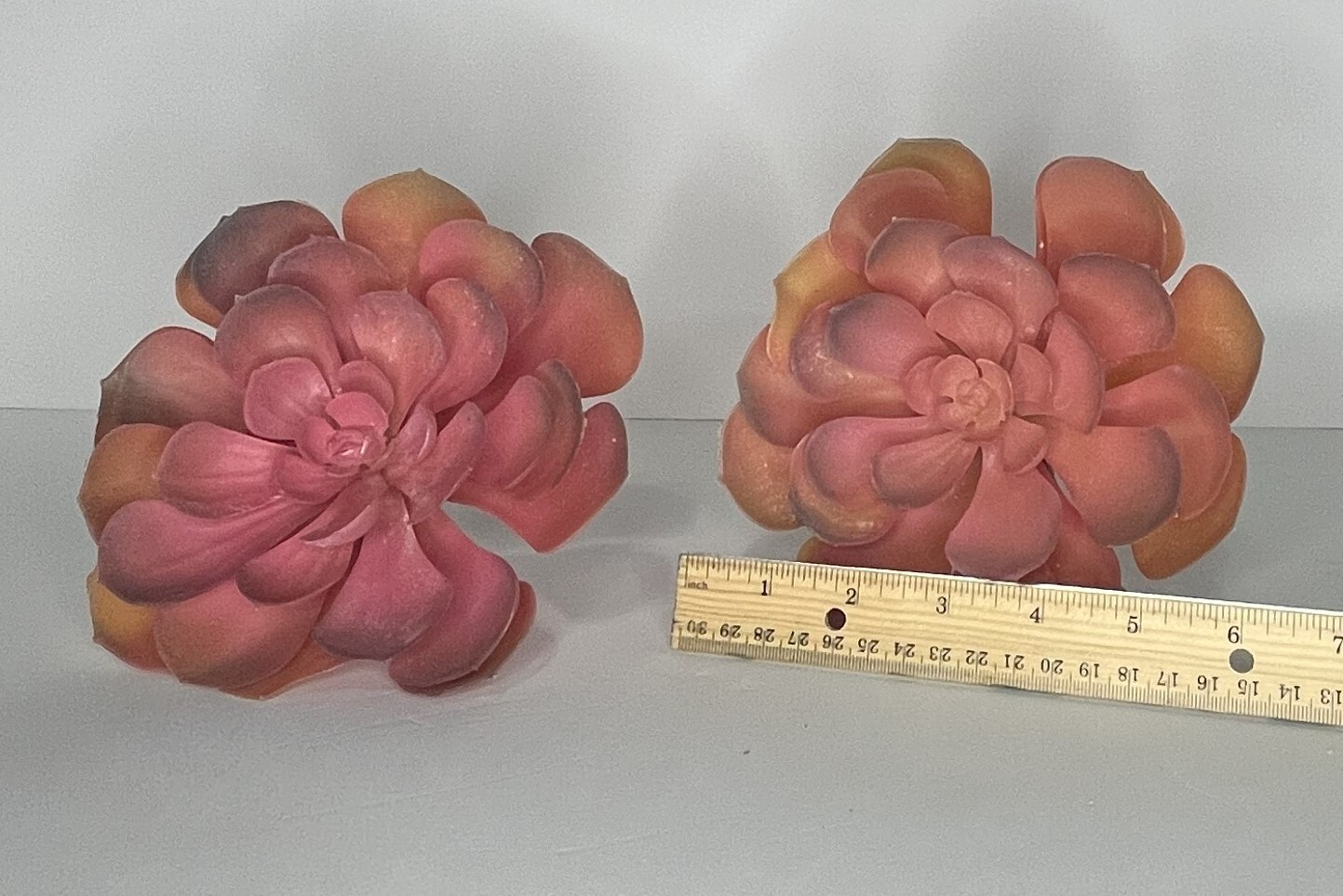 Orange Echeveria Large Pics Ashland Pick Fake Plastic Succulents 7″