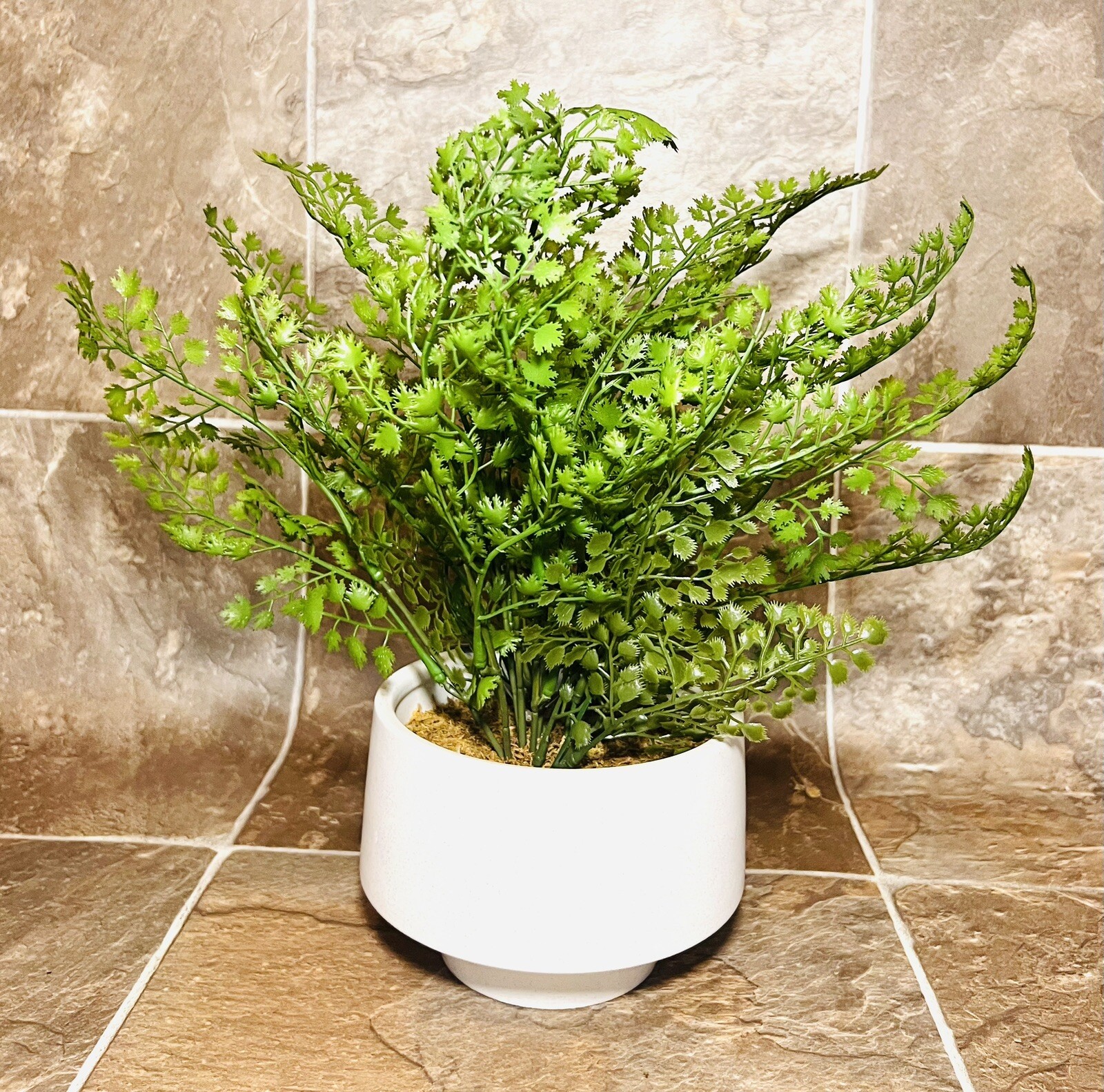Threshold 14” Faux Fern Modern Ceramic Pot Artificial Arrangement – New