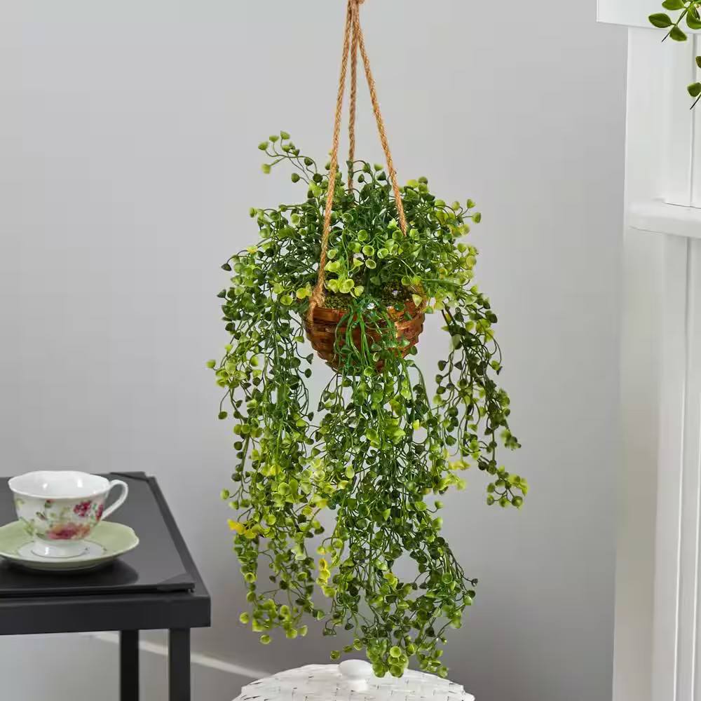 20 In. D Baby Tear Artificial Plant in Hanging Basket