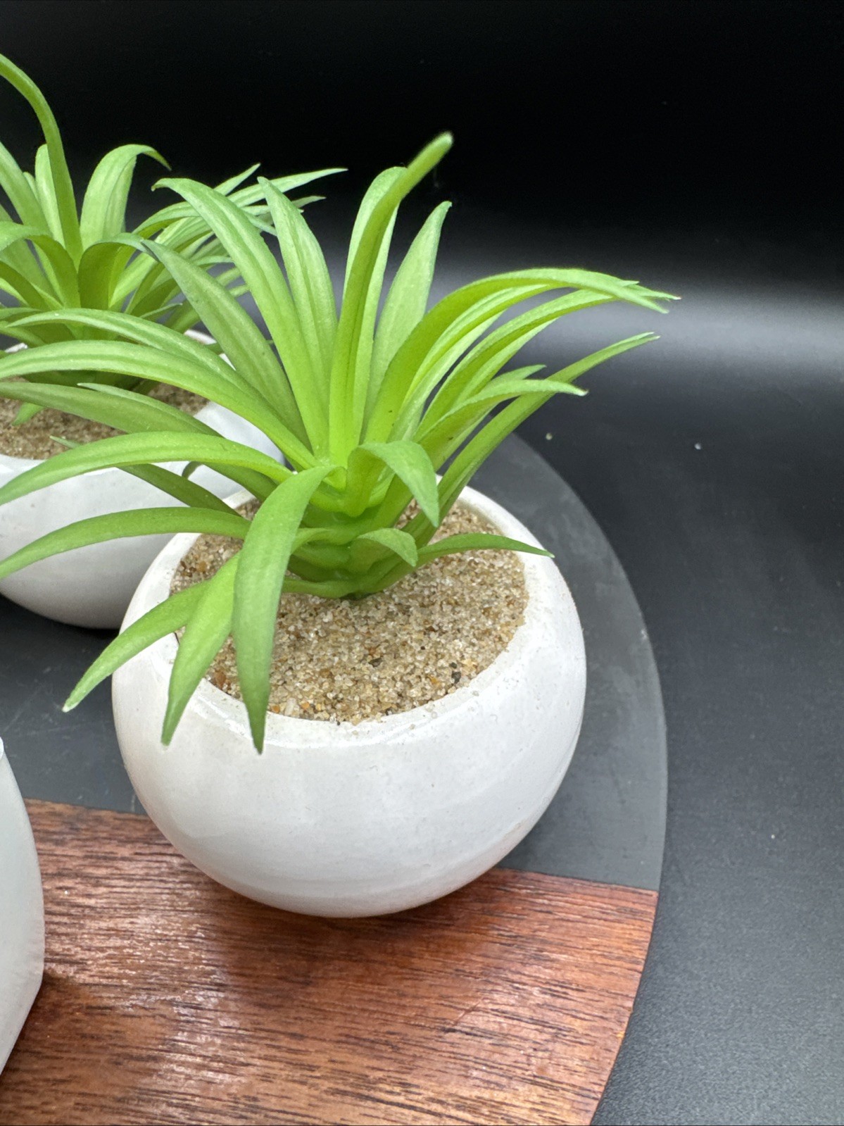 Faux Succulent Plant Set Desk – Realistic Coastal Western Scandi Boho Lot Of 5